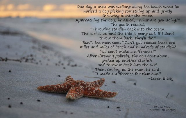 starfish story.jpg