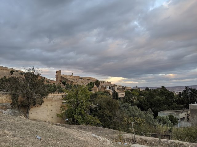 IMG_20191114_180443.jpg