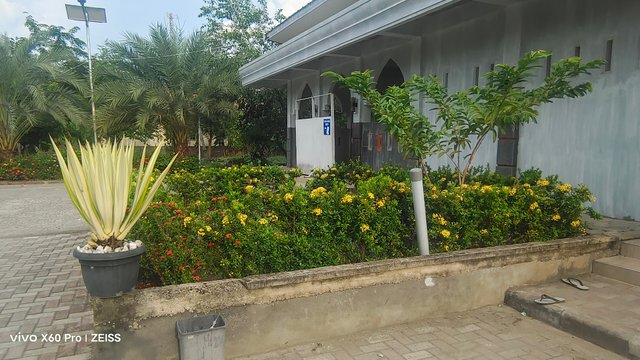 IMG_20250620_170223.jpg