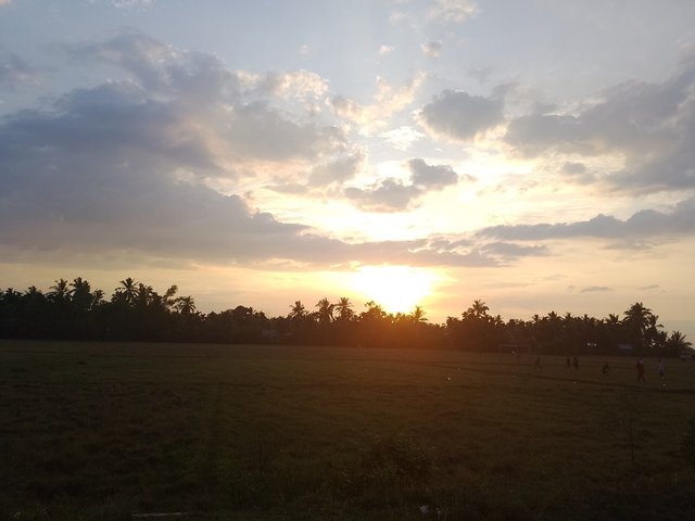 IMG_3364.jpeg