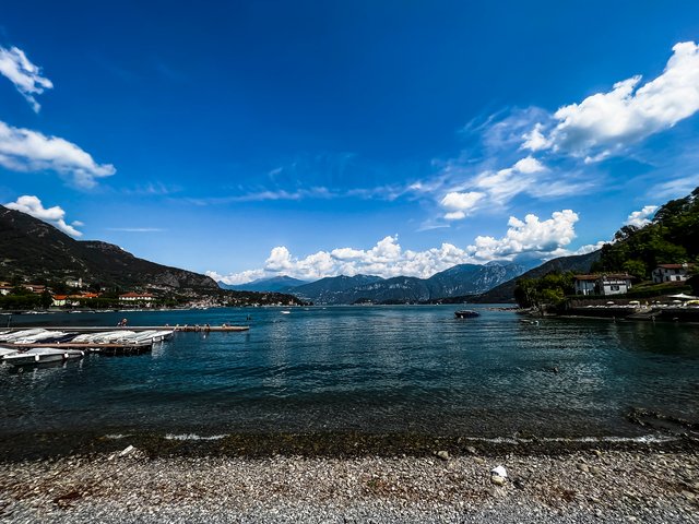 IMG_5567.jpg
