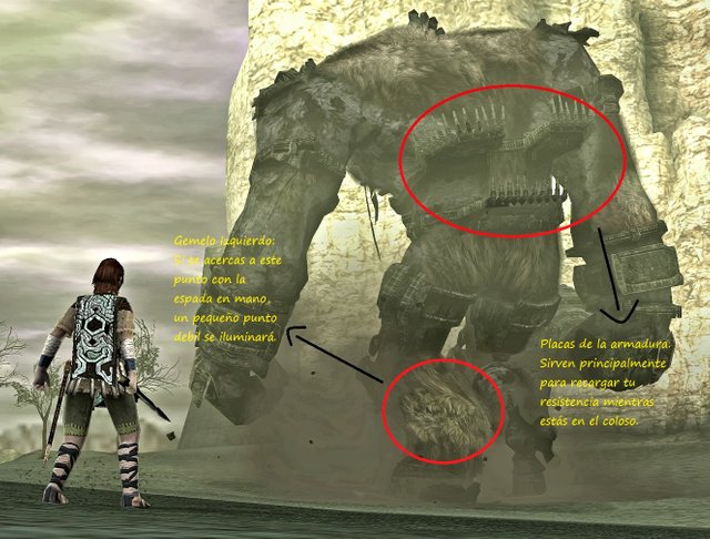 shadow-of-the-colossus-sotc-valus-minotaur-03-7-27-2012.jpg