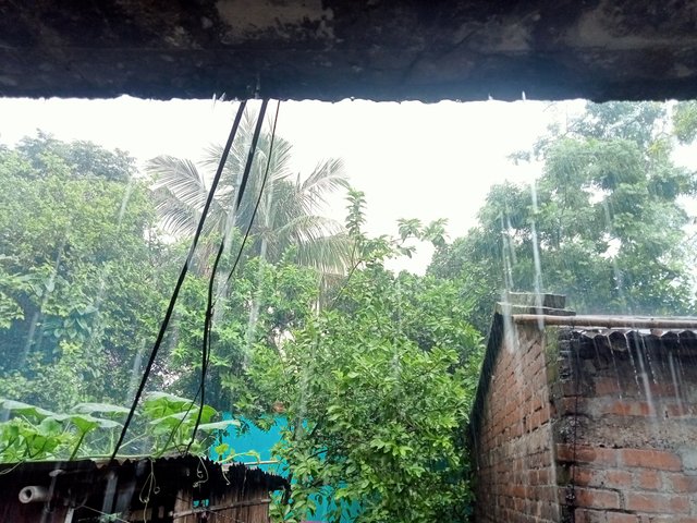 IMG20250707115954.jpg