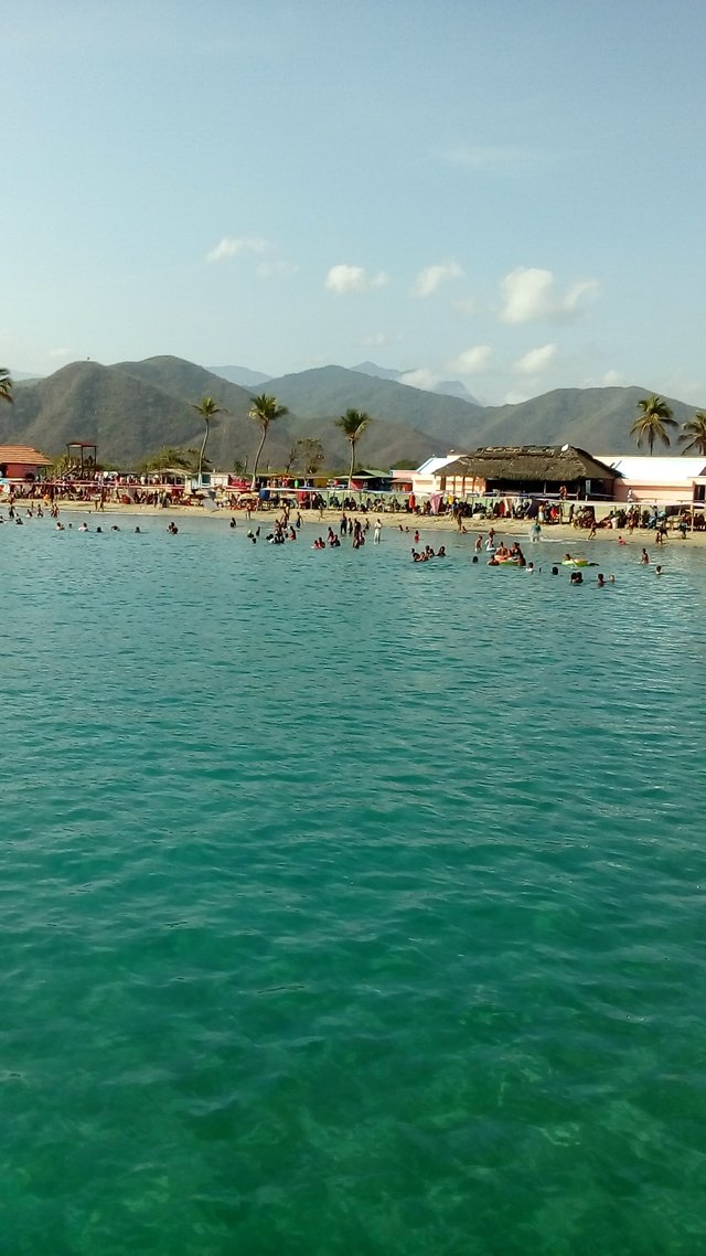 IMG_20200224_090905.jpg