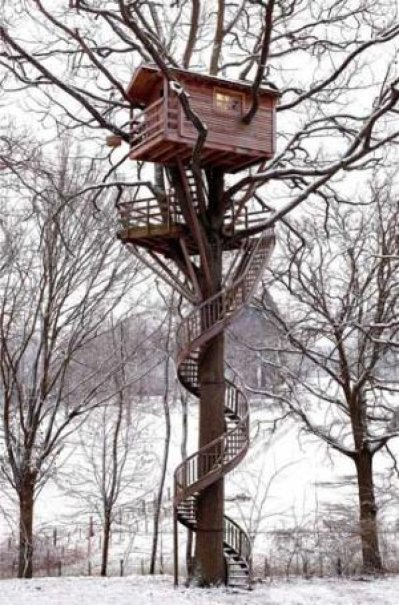tree-forts-pictures-3.jpg