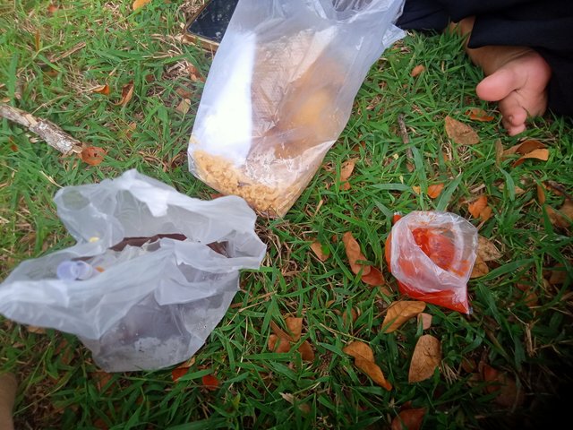 IMG20250826124114.jpg