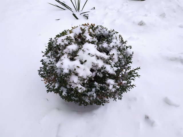 IMG_20240108_095530.jpg