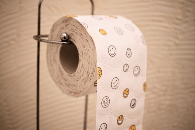 toilet-paper-4961395_1920.jpg