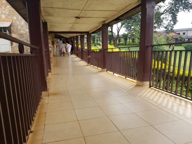 20250625_094637.jpg