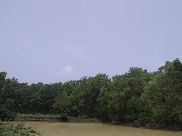 received_284069624380006.jpeg