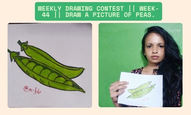 Weekly Drawing Contest  Week-44  Draw a picture of Peas..jpg
