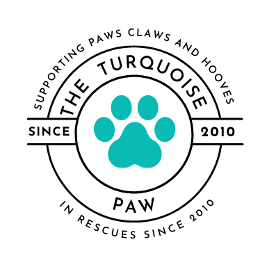 turquoise paws.png