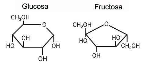 glucosafructosa.jpg