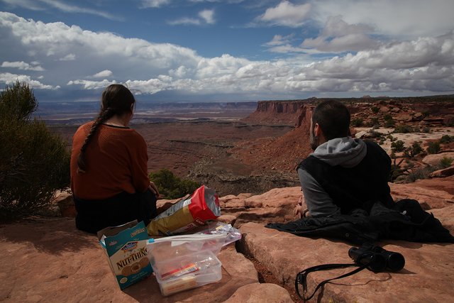 picnic web.jpg