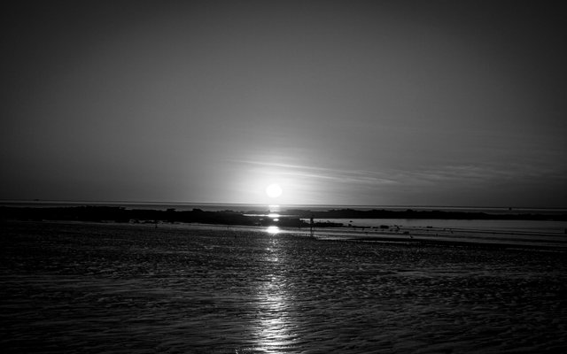 20250715_172631.jpg