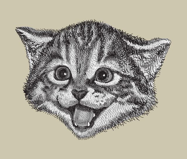 cat-g1f14f37c7_1280.png