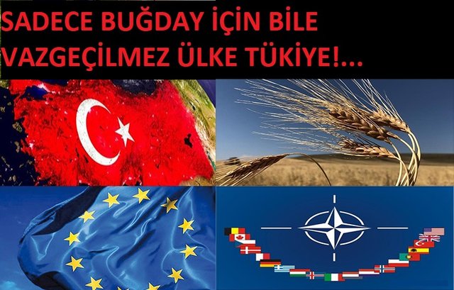 Türkiye ve NATO.jpg