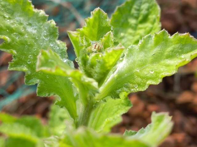 20240119_095105.jpg