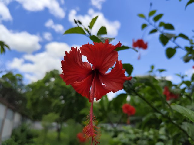 IMG_20250708_130149.jpg