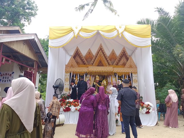 1000161788.jpg
