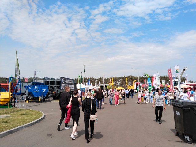 IMG_20250605_132731.jpg