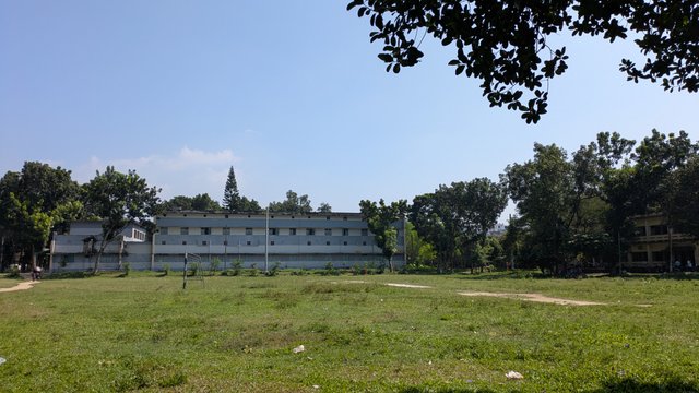 2614.jpg