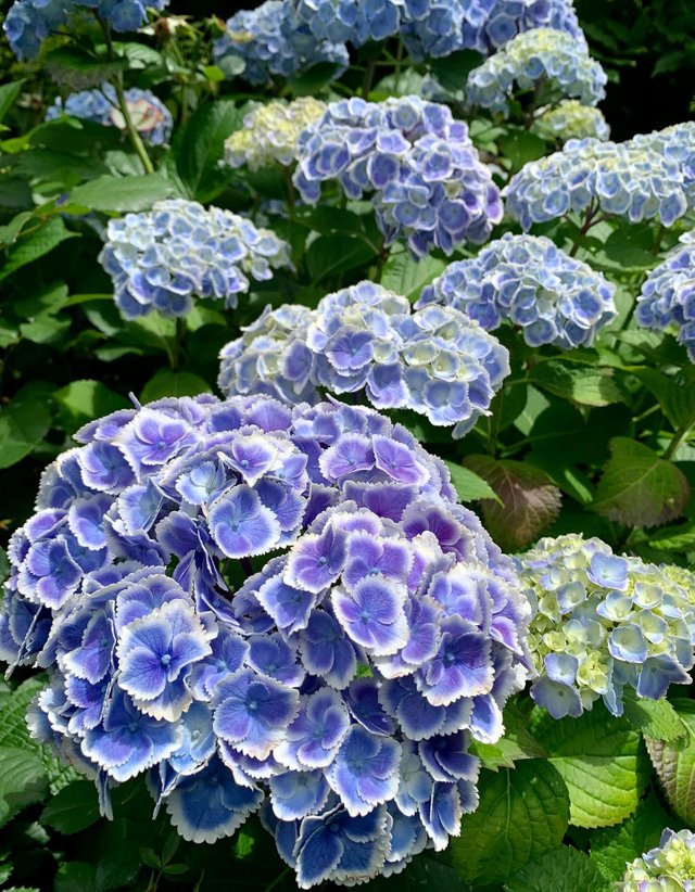 IMG_20250606_082745.jpg