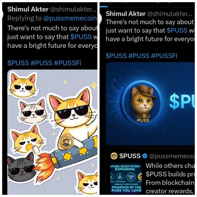 photocollage_2025525174524894.jpg