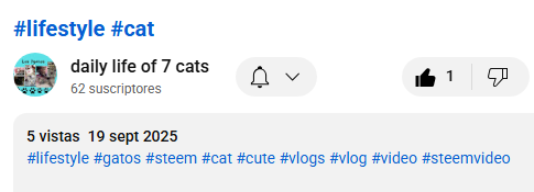 vide54.PNG