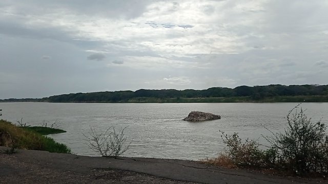 IMG_20250405_091800.jpg
