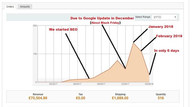 Aurora Royal Sales increased due to SEO.jfif