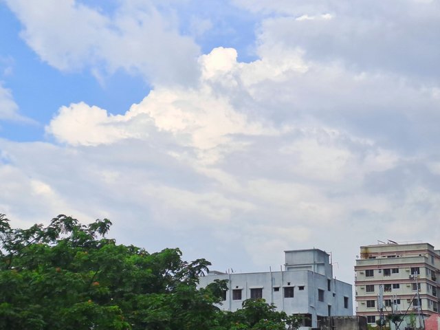 20250713_154632.jpg