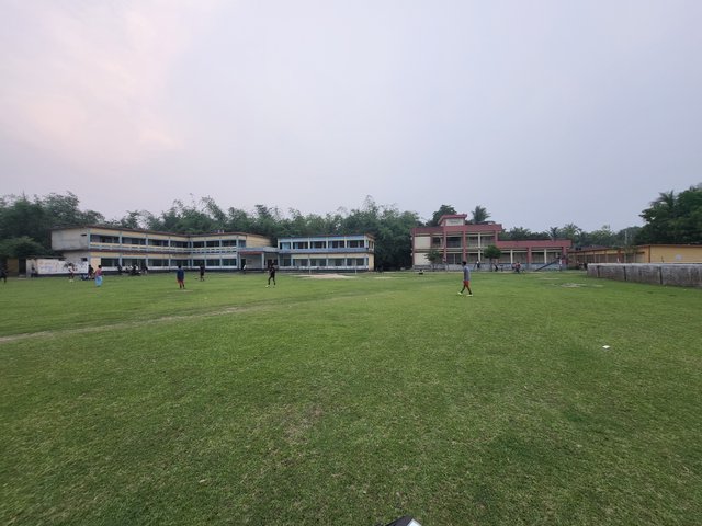 20250422_174545.jpg