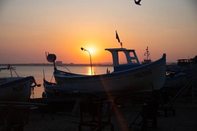 DSC_6605.jpg
