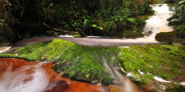 Parque_Cueva_de_los_Guacharos.jpg