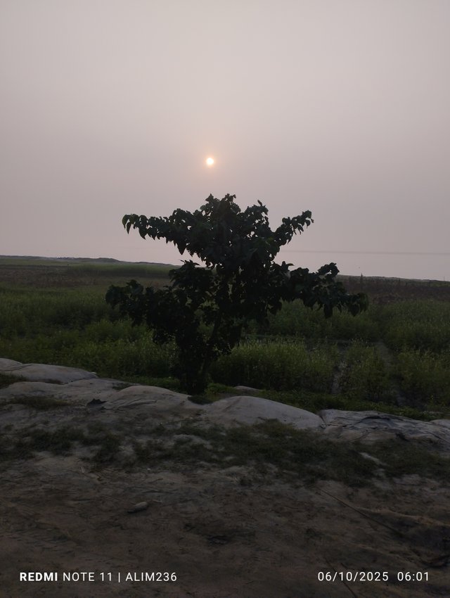 IMG_20250610_060153.jpg