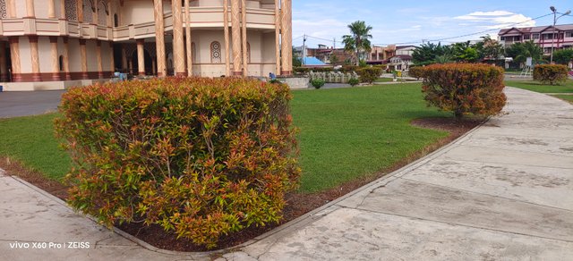 IMG_20250405_085842.jpg