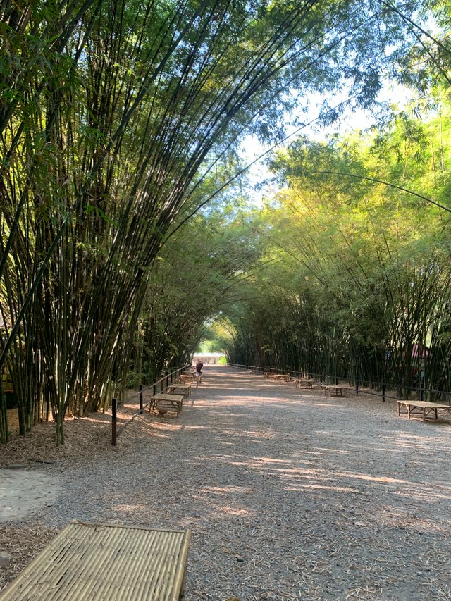 Bamboo Tunnel3.jpg