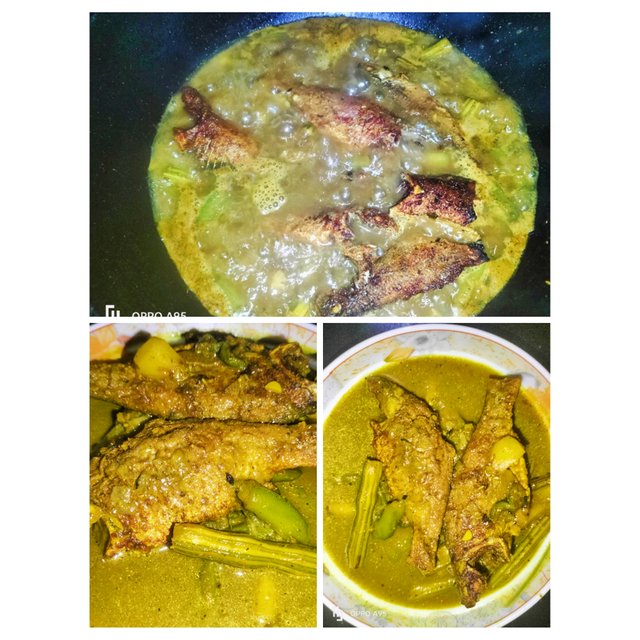 PhotoCollage_1749803658791.jpg