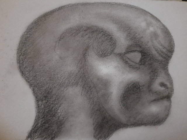20250812_103441.jpg
