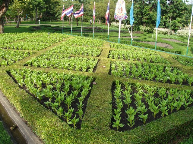 Queen Sirikit Park patterns