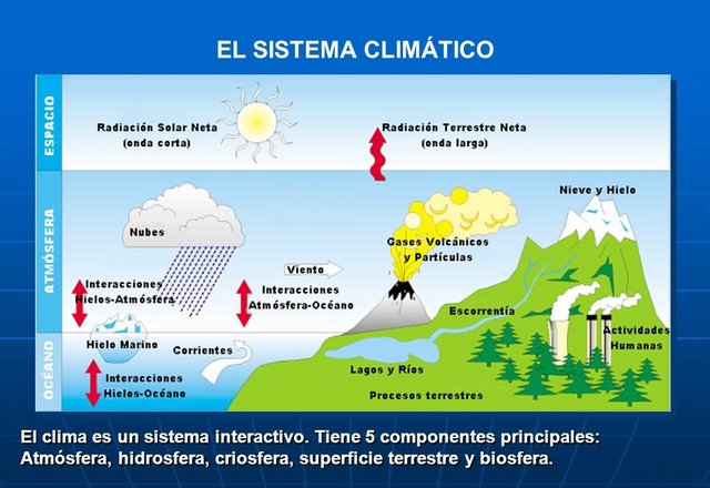 SISTEMÁTICAMENTE-e1576881735486.jpg