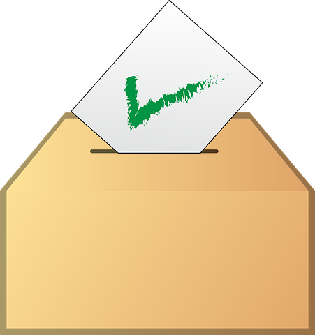 ballot-160570__480.png