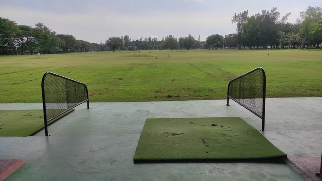 IMG_20250620_101228.jpg