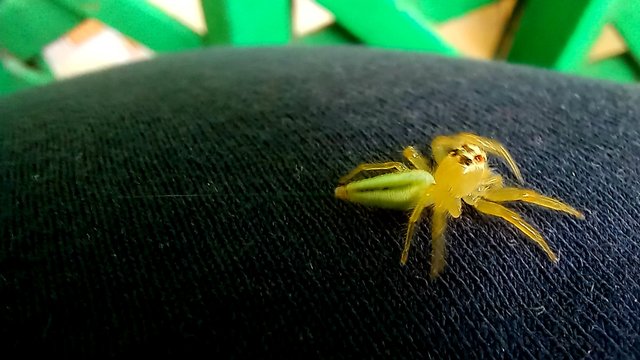 20221223_110713.jpg