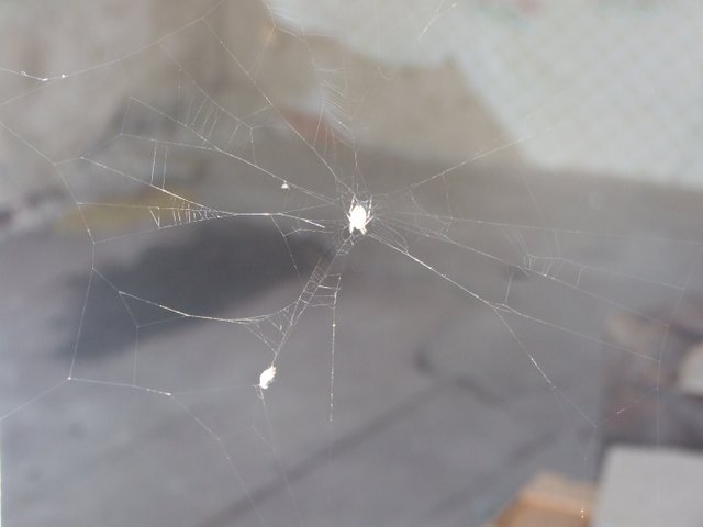 DSCF1392.JPG