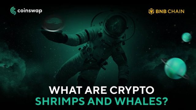 What are crypto shrimp and whale?.jpeg