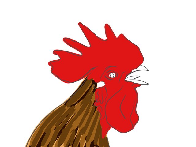 rooster(695).jpg