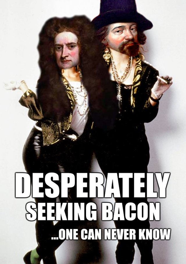 DESPERATELY_SEEKING_BACON_FLAT.jpg