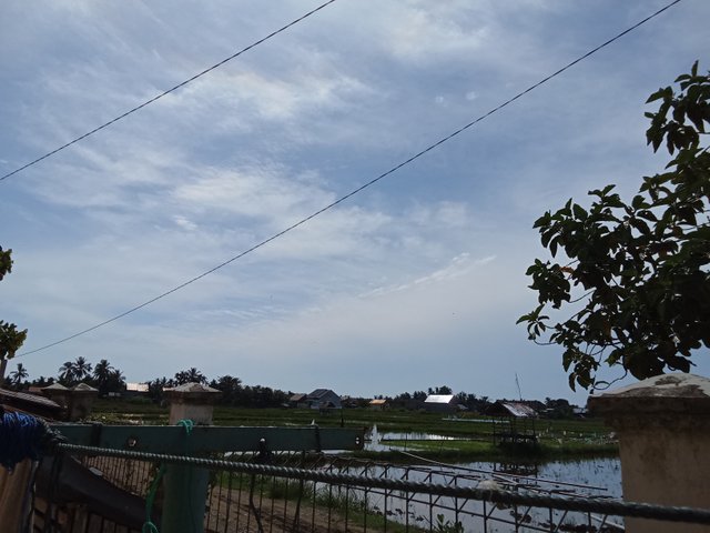 IMG-20250815-WA0014.jpg